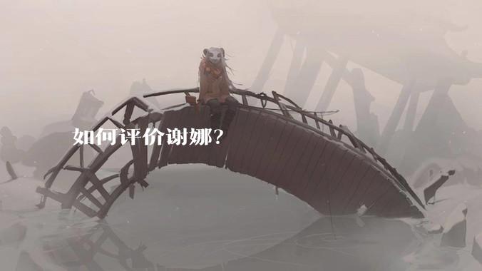 如何评价谢娜？