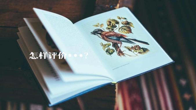 怎样评价***？