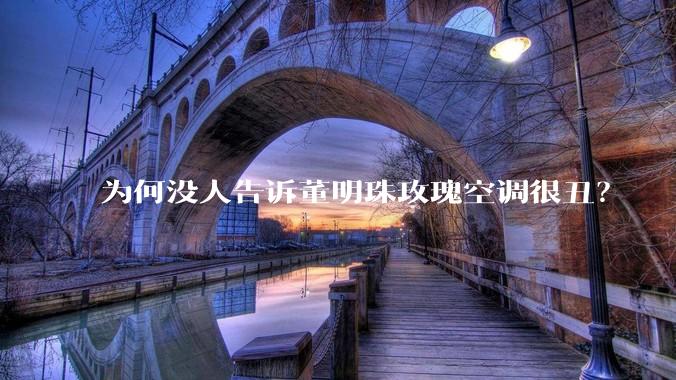 为何没人告诉董明珠玫瑰空调很丑？